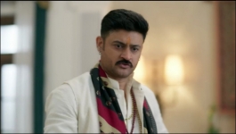 Binddii - 31st October 2025